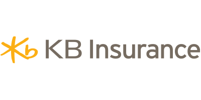 kb non-life insurance